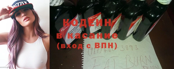 индика Абаза