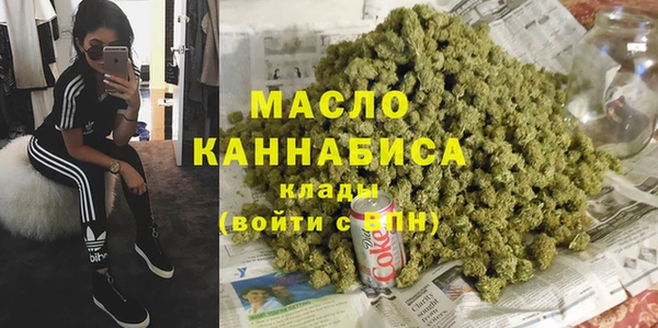 индика Абаза