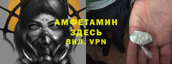 индика Абаза