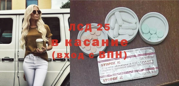 индика Абаза