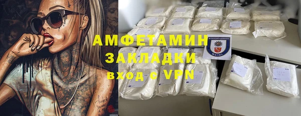 индика Абаза