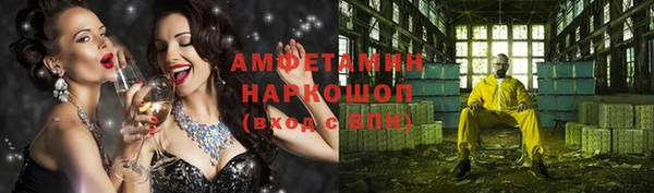 индика Абаза