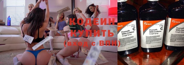 индика Абаза