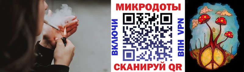 Галлюциногенные грибы Psilocybine cubensis Оренбург